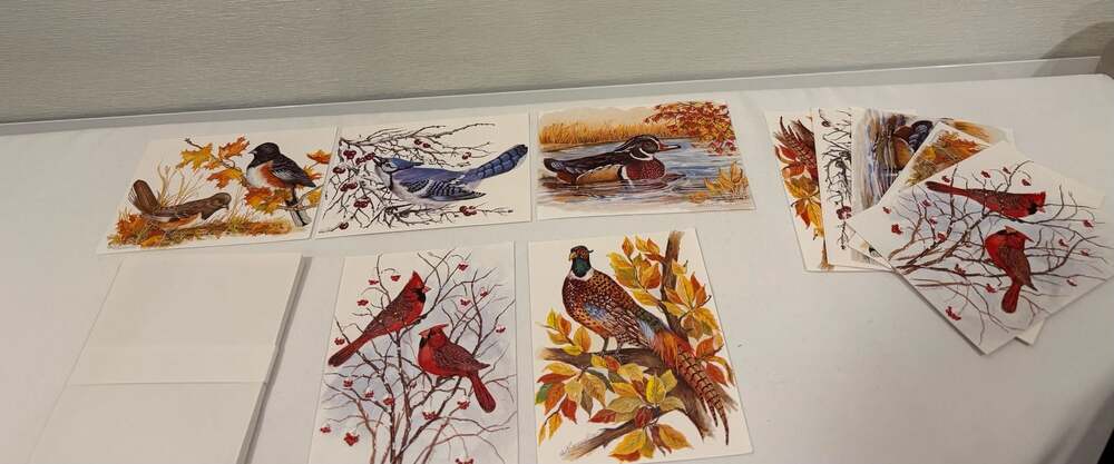 Vintage Bird Note Cards Set John Cornacchio Art Set of 10 with envelopes